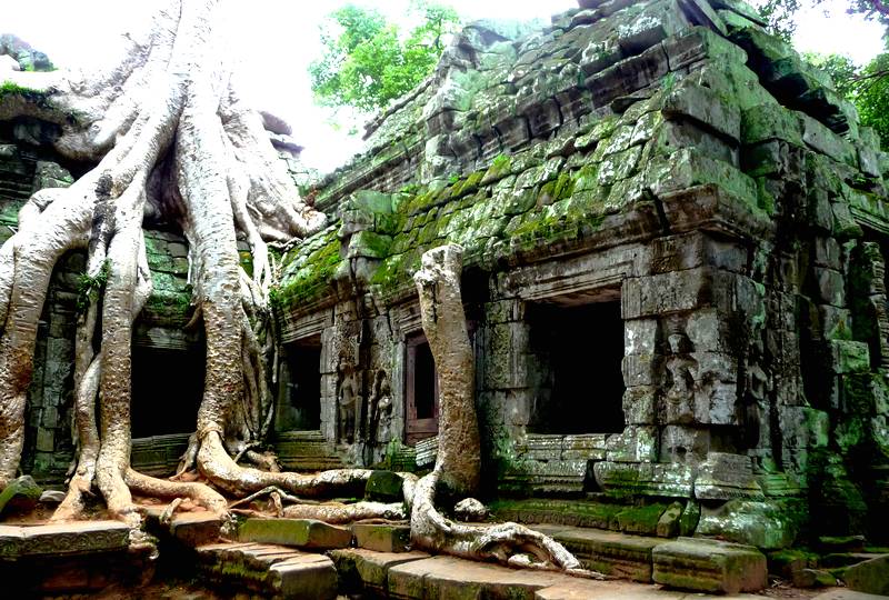 Angkor et les fromagers