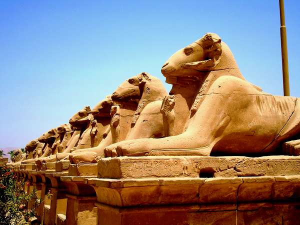 Les béliers de Karnak