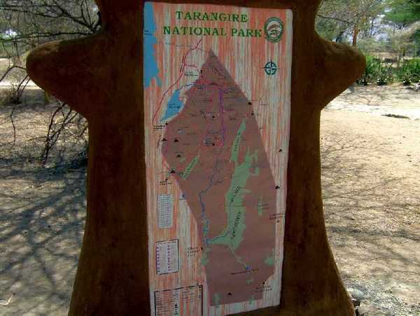 Le parc de Tarangire