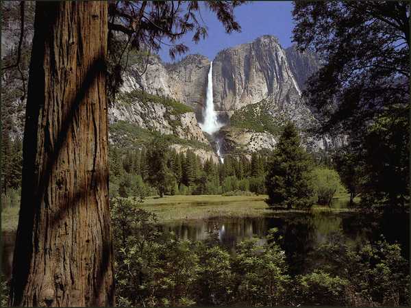 Chutes du parc de Yosemite