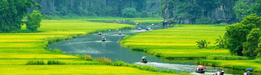 Barques dans les rizières d'Hoa Lu