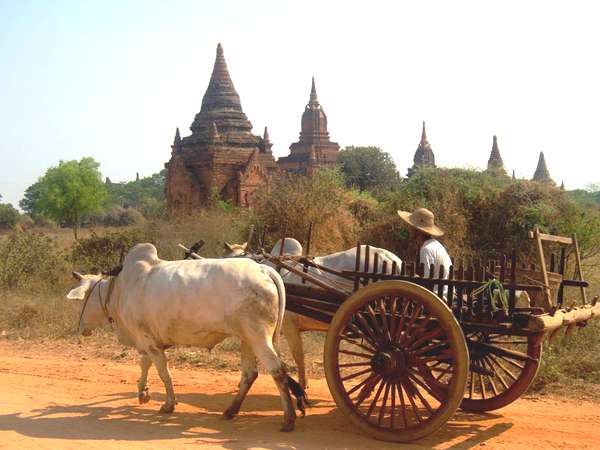 Balade en cariole dans Bagan