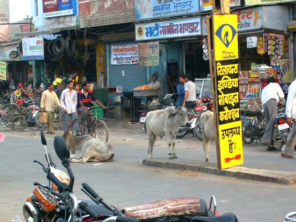 Une rue commerçante de Bikaner