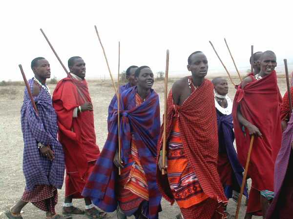 Danse Masaï pour l'accueil de touristes