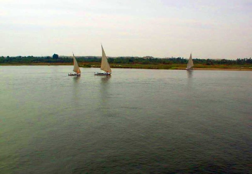 Sur le Nil