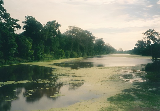 Angkor (1123 visites) Angkor