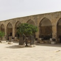 syrie_251.jpg