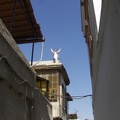 syrie_065.jpg