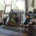 borneo_313.jpg
