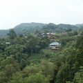 borneo_285.jpg