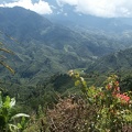 borneo_132.jpg