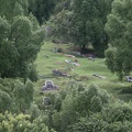 borneo_022.jpg