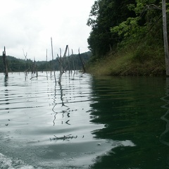 Sur le fleuve