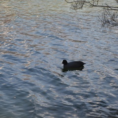 Annecy
