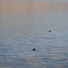 Aix-les-bains