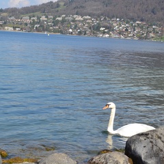 Annecy