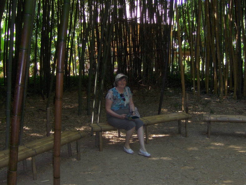 bambou_007.jpg