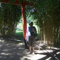 bambou_029.jpg