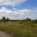 lot_038.jpg