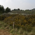 bretagne_131.jpg