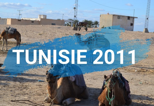 Tunisie 2011